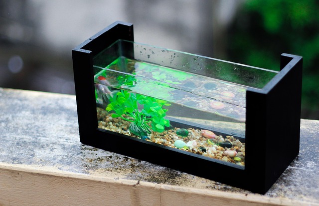oeberflaechenabsauger und skimmer